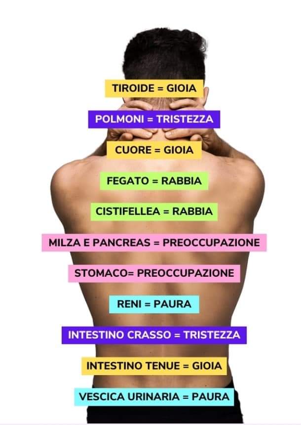 massaggio metamerico massaggio metamerico